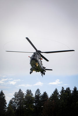 Super Puma Display Team