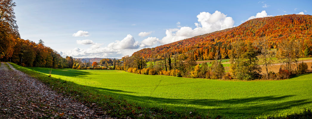 Eigi Wettingen | Schweiz