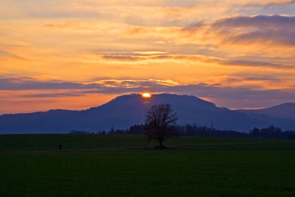 Habsburger Wald | Aargau | Schweiz