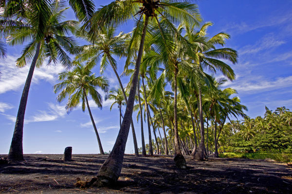 Hawaii | Kona | Blackbeach