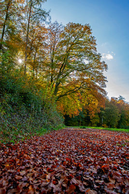 Eigi Wettingen | Schweiz