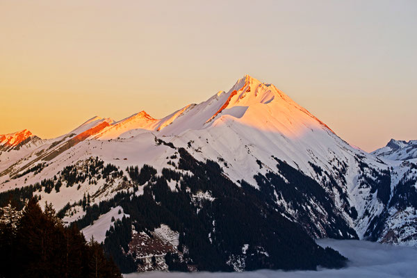 Gummenalp | Dallenwil | Schweiz