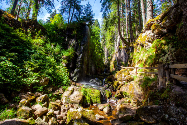 Schwarzwald | Deutschland