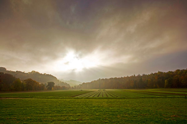 Brugg | Aargau | Schweiz