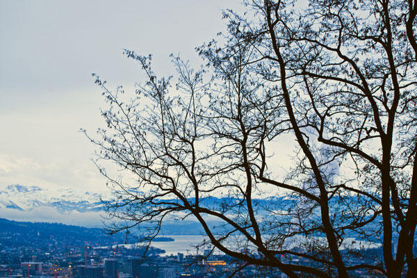 Zuerich | Schweiz