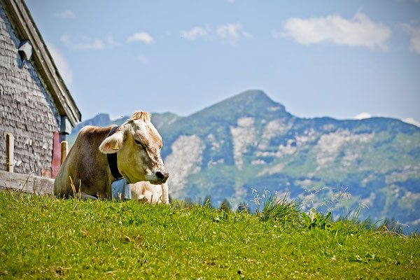 Amden | Schweiz