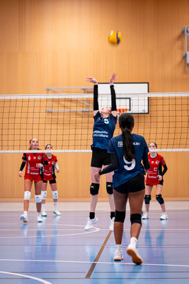 STV Baden Volleyball