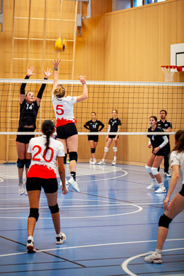 STV Baden Volleyball