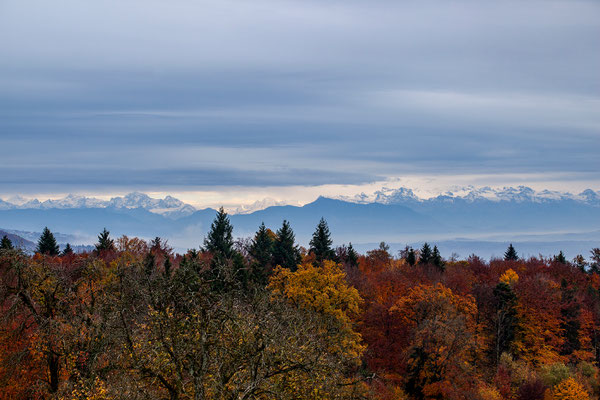 Baldegg | Schweiz