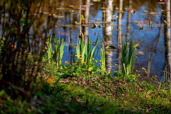 Seleger Moor | Zürich | Schweiz