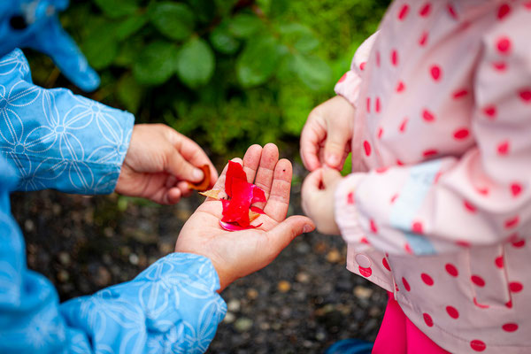 Kinderkrippe Kolibri