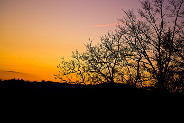 Wettingen | Aargau | Schweiz