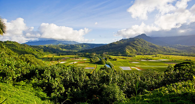 Hawaii