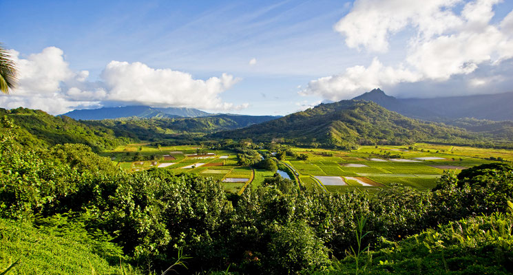 Hawaii