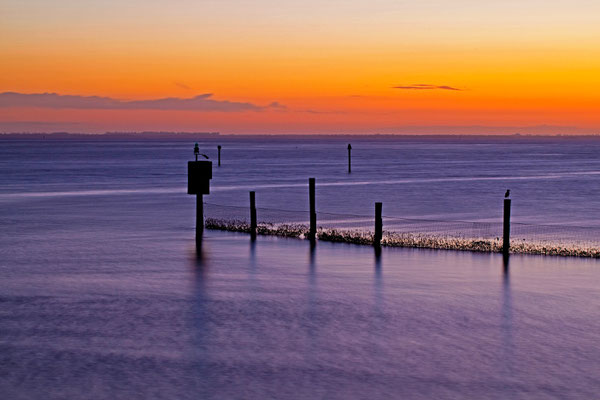 Fort Myers | Florida