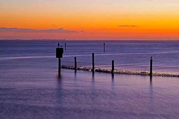 Fort Myers | Florida