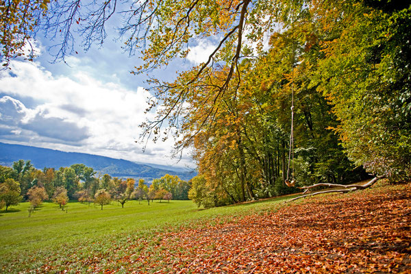Wettingen Lägern | Aargau | Schweiz
