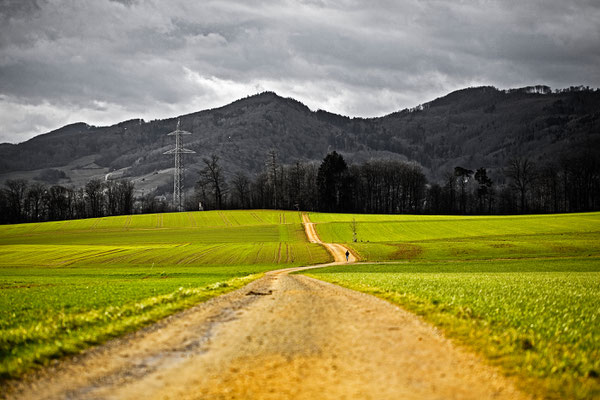 Habsburger Wald | Aargau | Schweiz