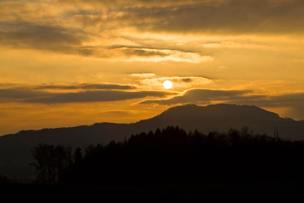 Habsburger Wald | Aargau | Schweiz