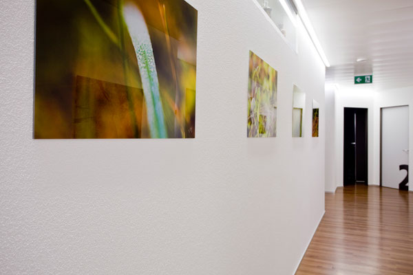 Fotoausstellung DZW