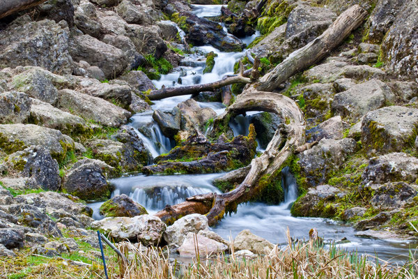 Tierpark Goldau