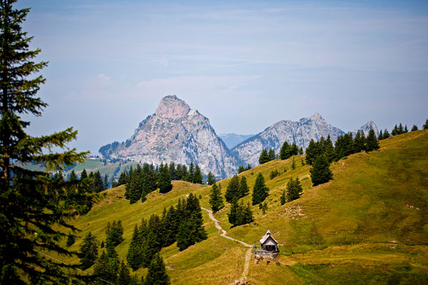 Hoch Ybrig | Schweiz