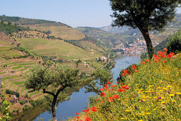 Flusskreuzfahrt auf dem Douro, Dourokreuzfahrt in Deiner Reiserei, Reisebüro in Berlin Brandenburg