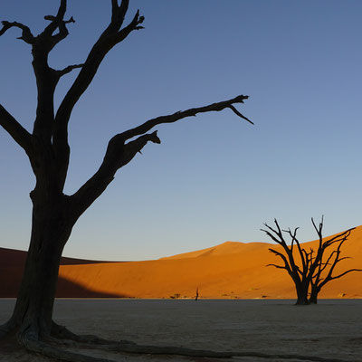 Dead Vlei, Namibia, Reisebericht