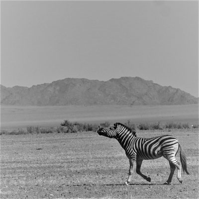 Namibia Reisebericht