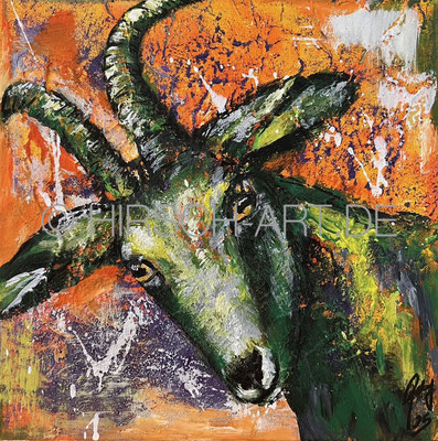 Ziege Gretl, 2025, 30 x 30 cm