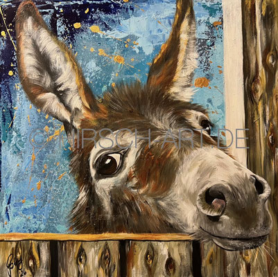Fridolin - Der Neugierige, 2026, 50 x 50 cm