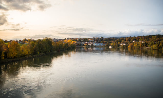 Der Rhein von der Hochrheinbrücke aus gesehen. Blickrichtung flussabwärts in Richtung Laufenburg. (Foto CC)