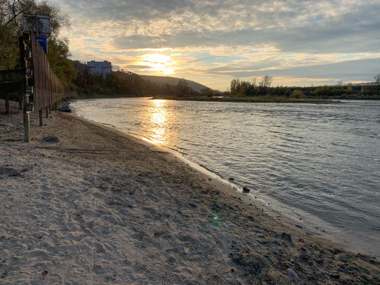 Sandbank bei Leibstadt unterhalb des Stauwehrs Albbruck-Dogern. (Foto PC)