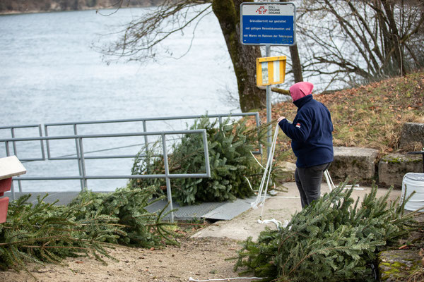 Laichbäume versenken Januar 2022. (Foto CC)