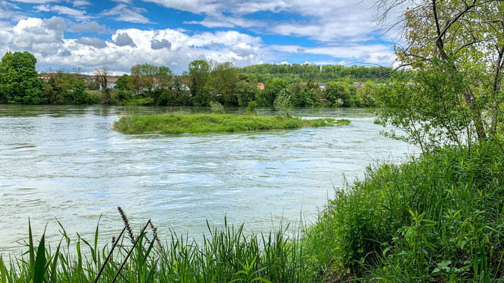 Die Kies-Insel bei Etzgen bei Hochwasser. (Foto PC)