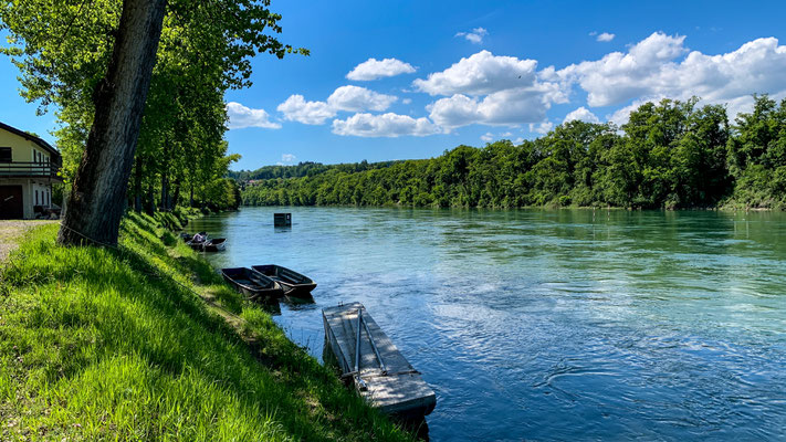 Der Rhein beim Vereinshaus des Pontonier-Fahrvereins Schwaderloch in Etzgen. (Foto PC)