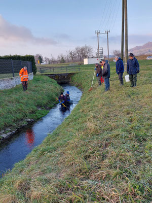  Abfischen Hinterwasserkanal Full Dezember 2021. (Foto F. Mangold)