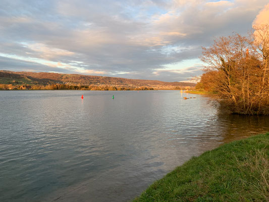 Der gestaute Rhein oberhalb des Stauwehrs bei Leibstadt. (Foto PC)