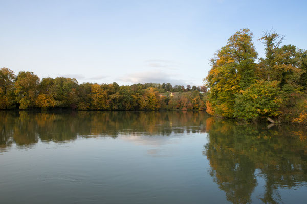 Der Rhein direkt oberhalb des Kraftwerks Laufenburg. Von hier bis zur Tafel weiter oben (siehe nächstes Foto) ist Fischerei-Schonstrecke, d.h. es darf nicht gefischt werden. (Foto CC)