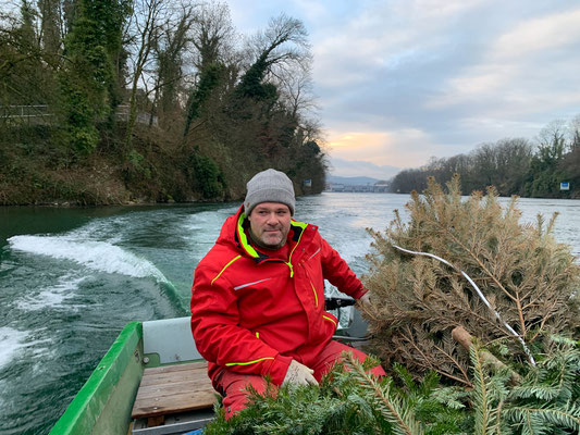 Laichbäume versenken Januar 2022. (Foto PC)