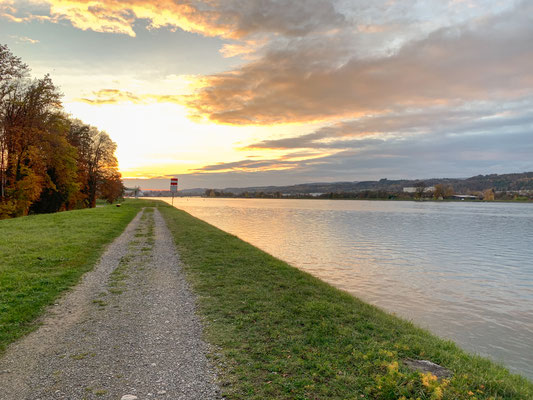 Der gestaute Rhein oberhalb des Stauwehrs bei Leibstadt. (Foto PC)