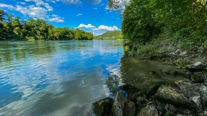 Rhein bei Etzgen. Blick zum Pontonier-Fahrverein Schwaderloch. (Foto CC)