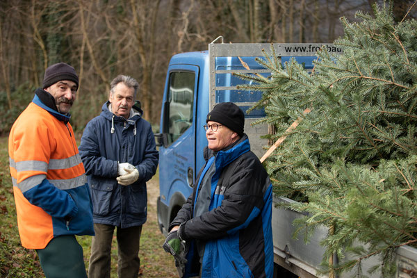 Laichbäume versenken Januar 2022. (Foto CC)