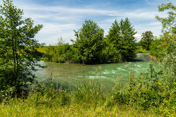 Umgehungsgewässer Leibstadt. (Foto PC)