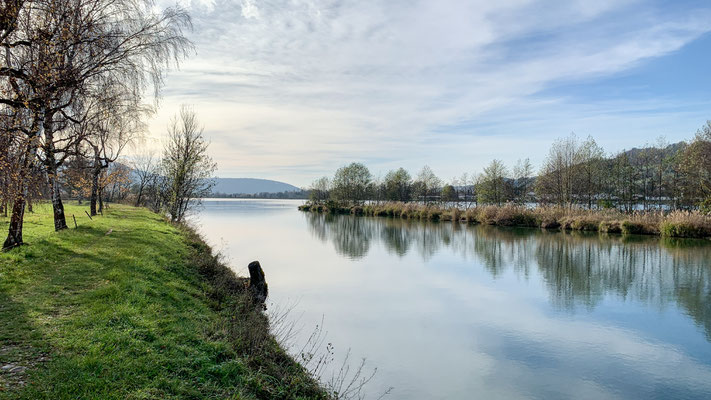 Idyllischer Rhein bei Full. (Foto PC)