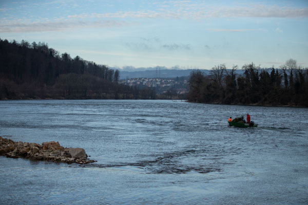 Laichbäume versenken Januar 2022. (Foto CC)