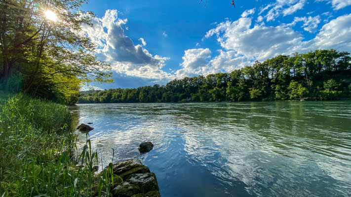 Rhein bei Etzgen. (Foto CC)