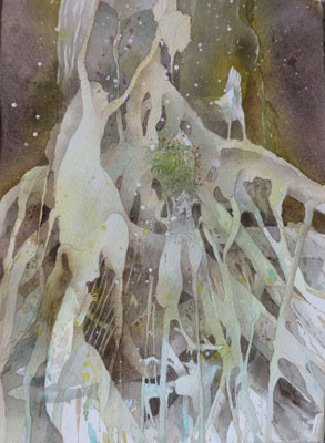 Roots
