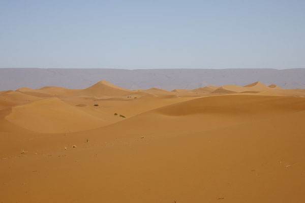 Dunes de Chigaga 5