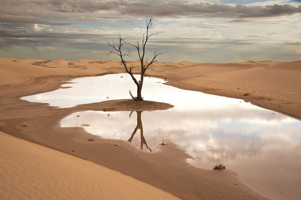 Dunes de Chigaga 12